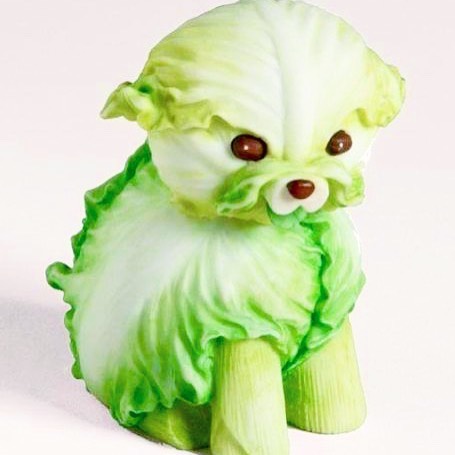 🐶 #byCHLOE #vegan #pinterest #sourceunknown